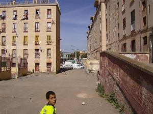 LA CITE DES MIMOSAS 03